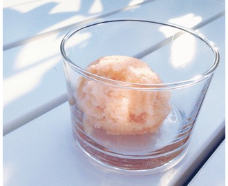 Cantaloupe-sorbet