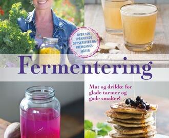 Hurra! Nå kan du forhåndsbestille min nyeste bok om fermentering av mat og drikke!
