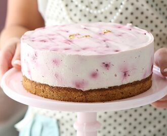 LEMON & BLUEBERRY CHEESECAKE