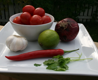 Quesadillas med guacamole & tomatsalsa