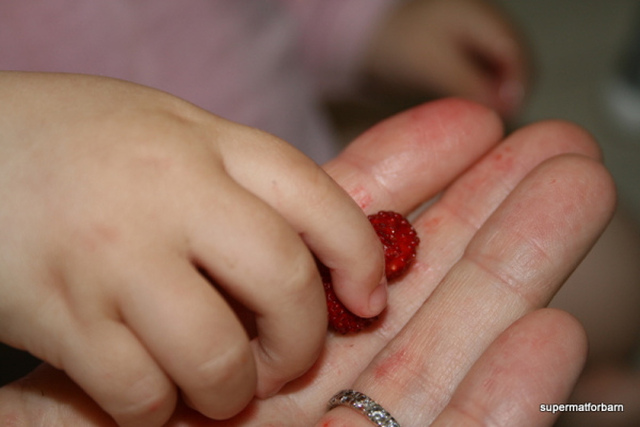 Markjordbær er små under fra naturens hånd