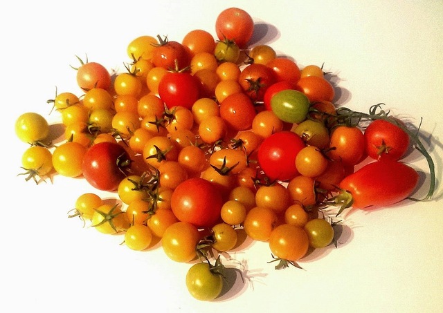 Slik dyrker jeg tomat