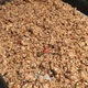 Granola