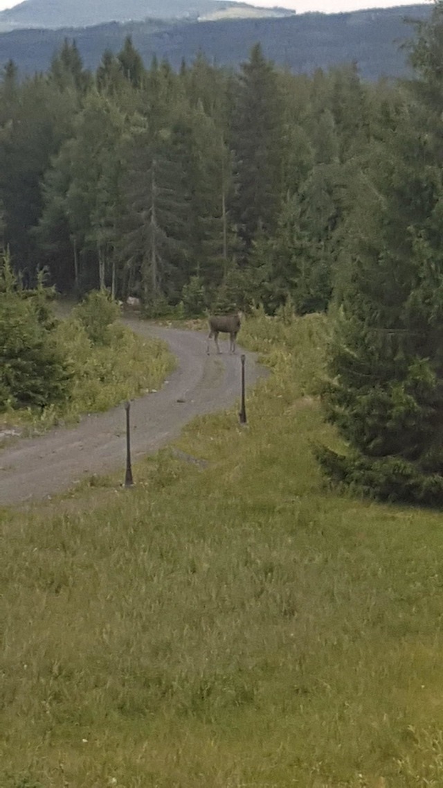 Min hverdag.