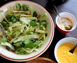Grønn salat med karse, eple og mangodressing