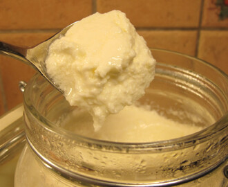 Hjemmelaget yoghurt - sunnhet på glass