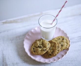 Martha Stewart Chocolate Chip