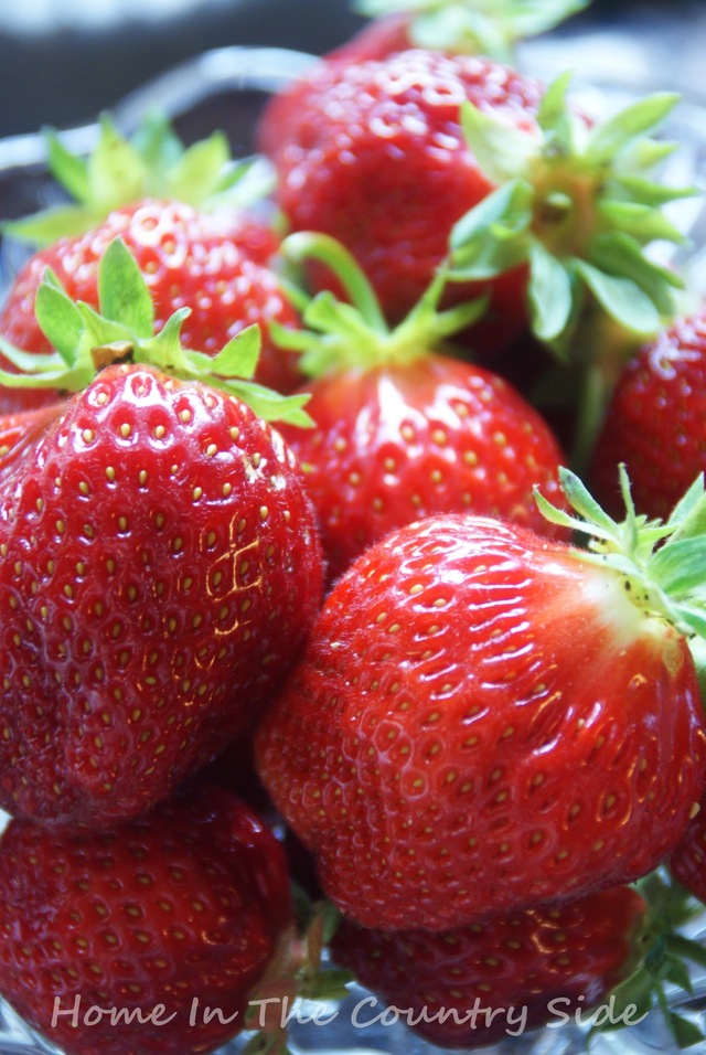 Summer strawberries : )