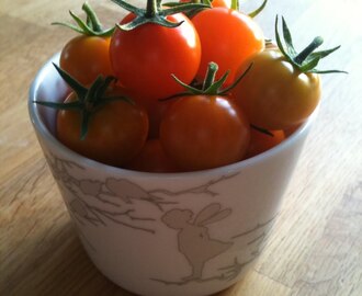 Å få mest ut av resterende tomater