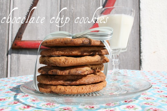 Chocolate chip cookies