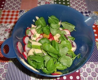 Salat med røkelaks og reddik