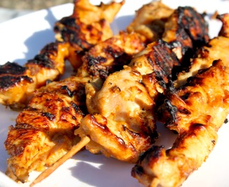Chicken Satay grillspyd