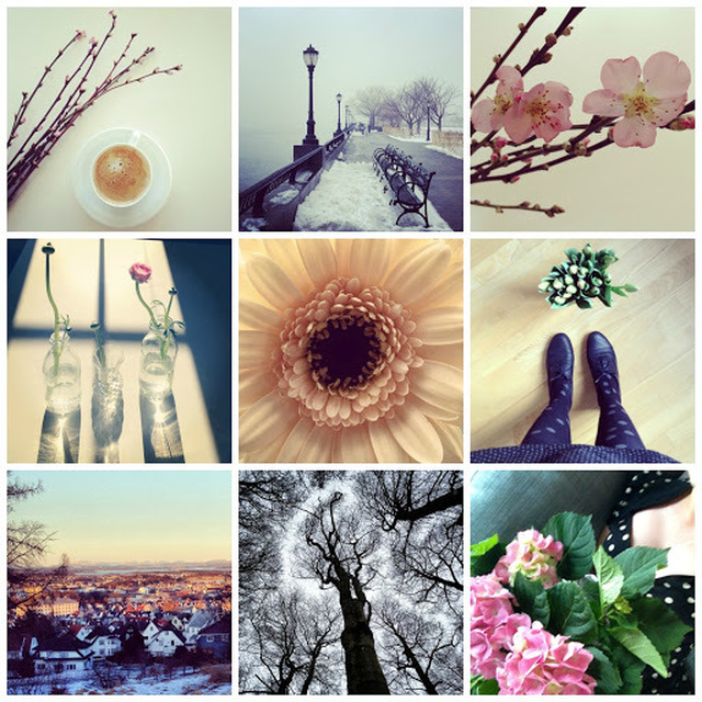 Kalde dager og innendørs blomstring på instagram