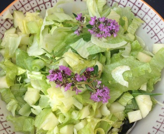 Salat med fennikel og eple, perfekt følge til grillet fisk