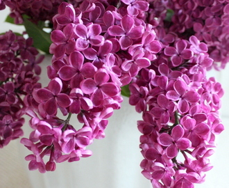 Vakre blomster fortjener en vakker vase!