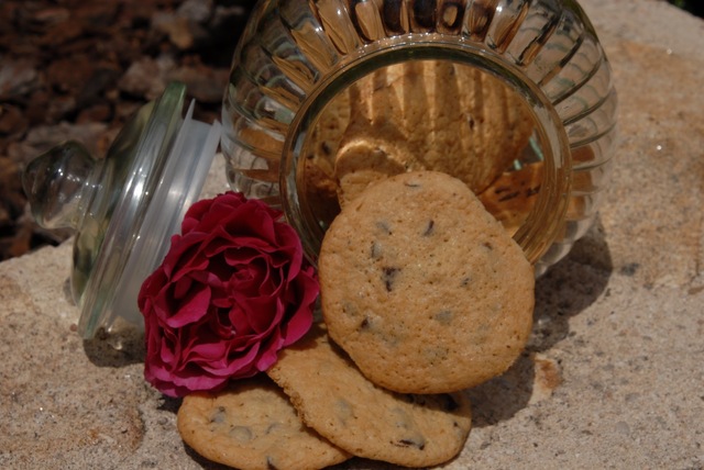 Chocolate chip cookies