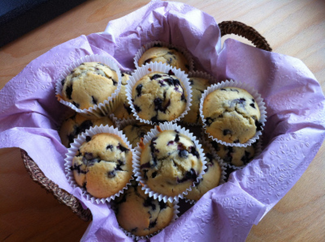 Blueberry muffins