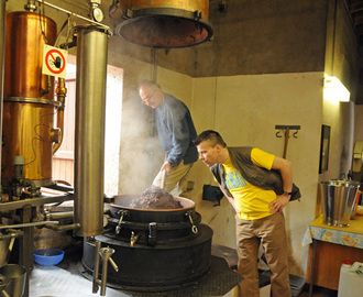 Destilleri-besøk i Ticino, Sveits