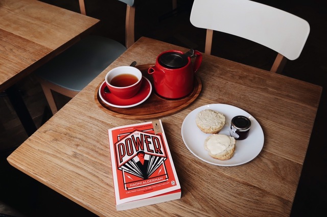 The Power by Naomi Alderman – Book of the Month