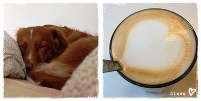 Chai latte og Lykke