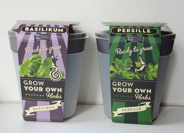 Grow your own herbs