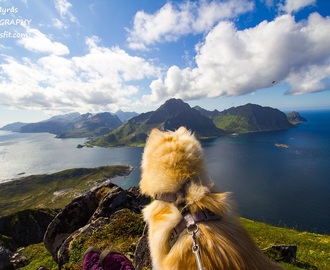 Offersøykammen hike in Lofoten