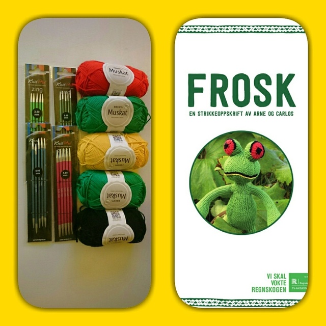 Prosjekt Frosk
