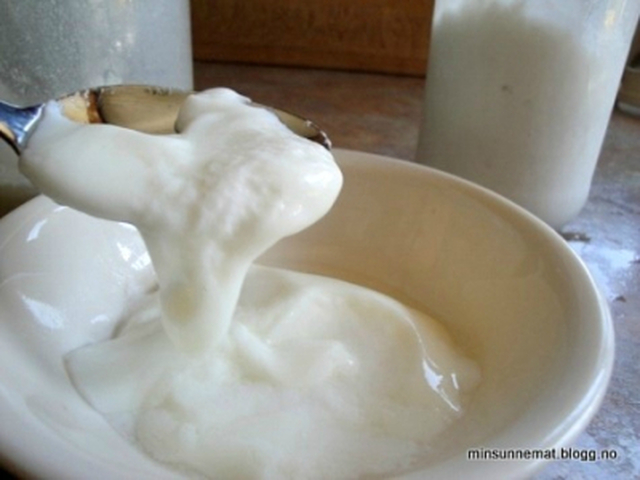 Hjemmelaget yoghurt av kokosmelk