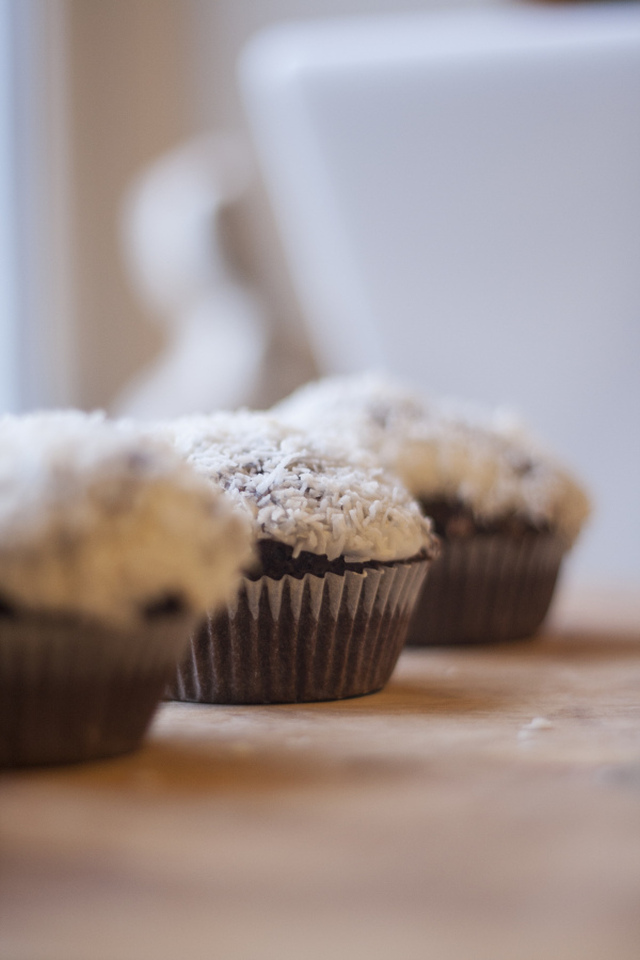 Søndagskos; sjokolademuffins med kokostopping