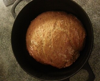 NoKnead Brød ( litt grovere)