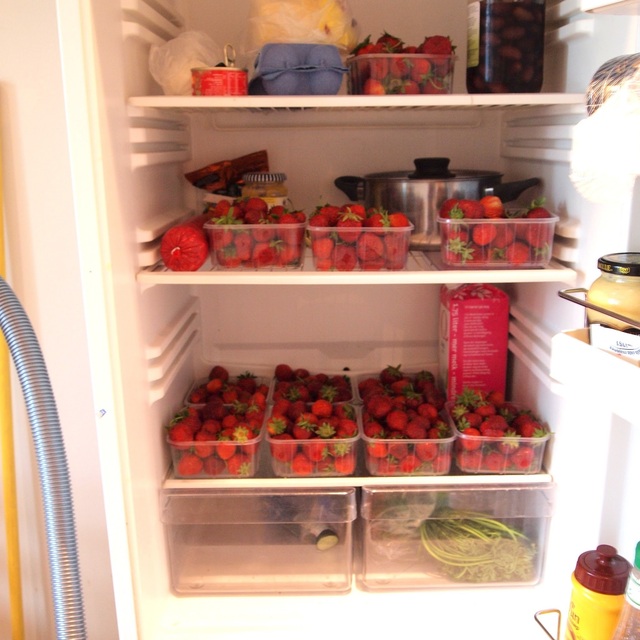 Okse i fryseren og jordbær i kjøleskapet