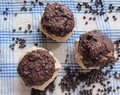 Double Chocolate "Peanut Butter" Ice Cream Sandwhiches - från PaleOMG