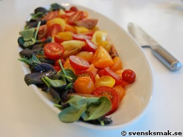 Färgstark tomatsallad