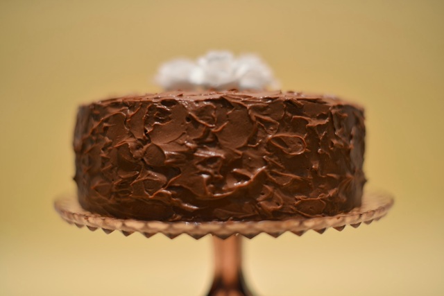 Chocolate vanilla dream cake