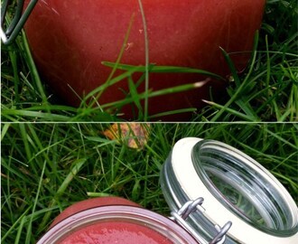 Äppelmos – av svenska vinter- och höstäpplen