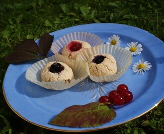 Healthy coconut cookies with 5 different flavors!