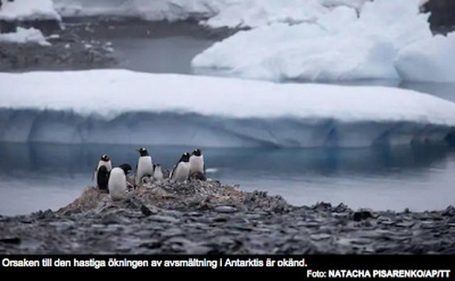 Alarmerande avsmältning i Antarktis eller kanske inte…