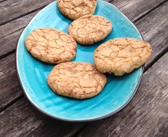 Kanel och choklad cookies