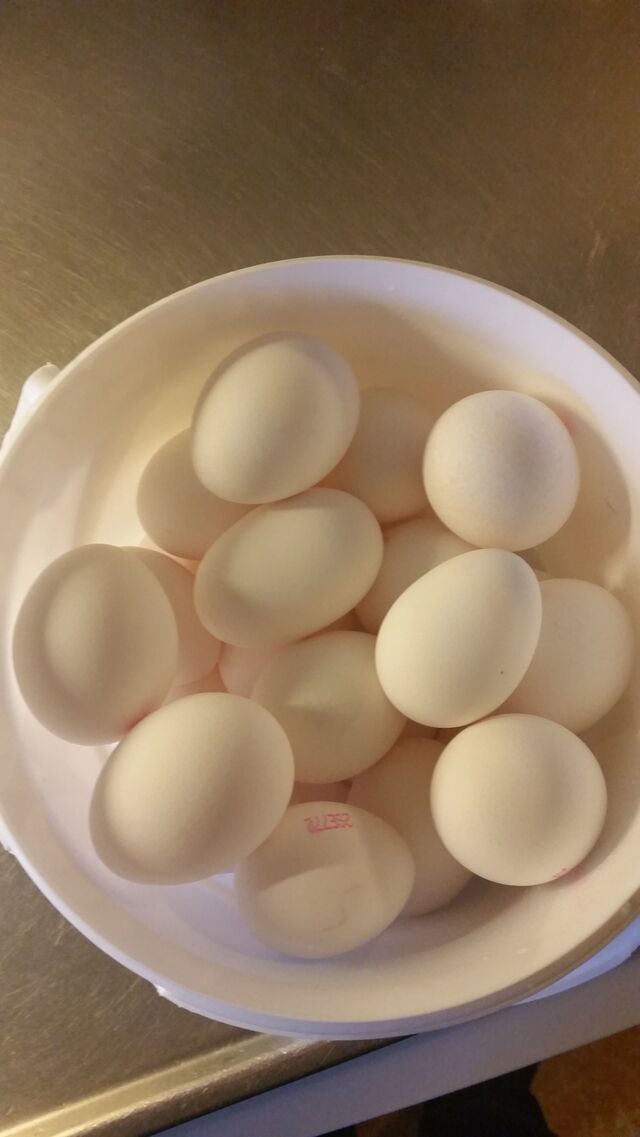 Kai Kem, inlagda saltade ägg