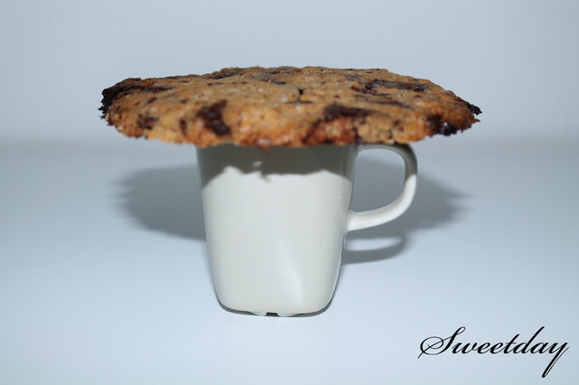 Chocolate chip coconut cookie