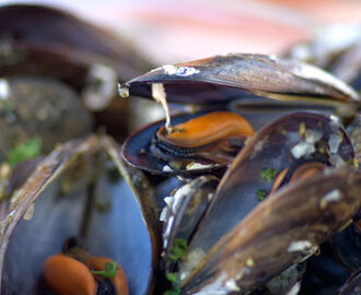 Moules marinières, vinkokta musslor på franskt vis