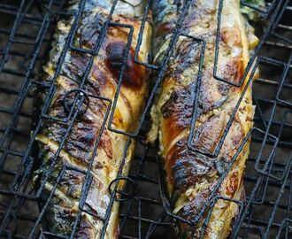 Grilled Whole Mackerel | Grilled mackerel, Mackerel recipes, Bbq fish