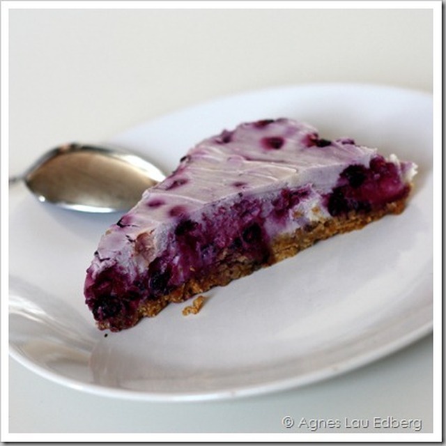Cheesecake med blåbär och vit choklad