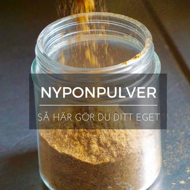 Nypon – gör eget nyttigt nyponpulver