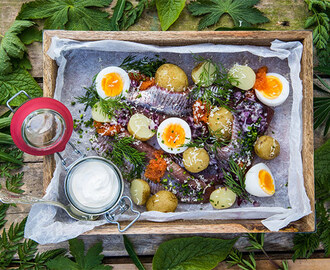 Matjesfiléer med ägg, pepparrot och brynt smör