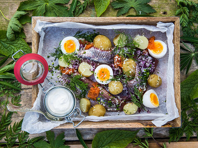 Matjesfiléer med ägg, pepparrot och brynt smör