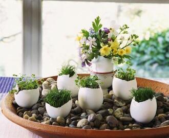 Recycling Egg Shells for Miniature Vases, Green Easter Decorating with Spring Flowers and Plants