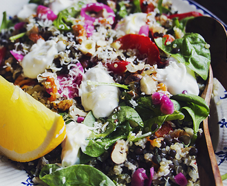 Sallad med quinoa, belugalinser, hasselnötter och apelsin