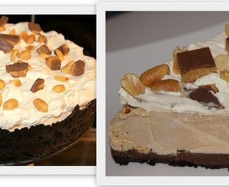 Frozen Peanut Butter Cream Pie