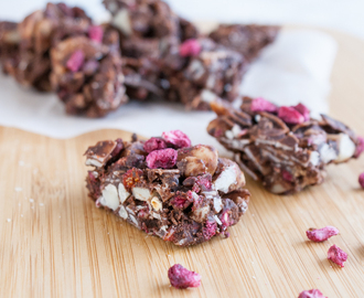 Sockerfritt chokladgodis med nötter och torkade bär